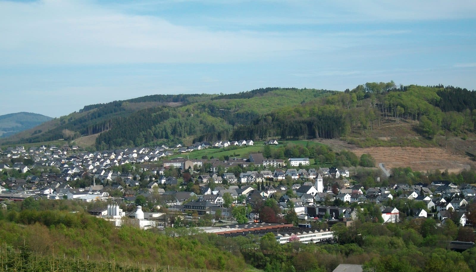 Gesamtansicht der Gemeinde Bestwig im Ruhrtal