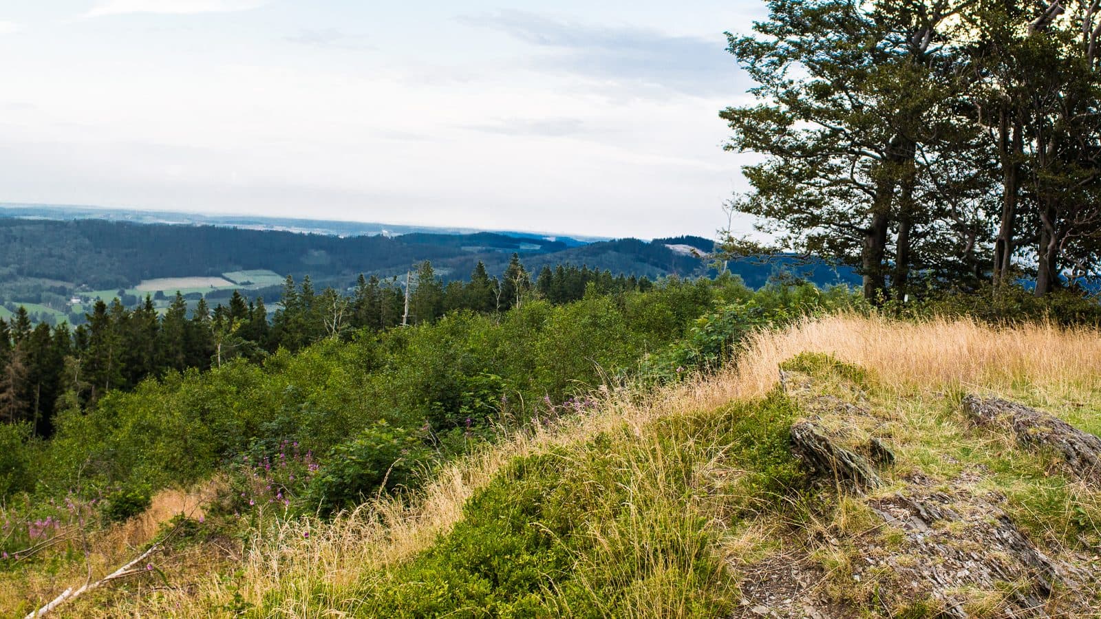 Stadtpanorama von Olsberg mit Bigge im Ruhrtal